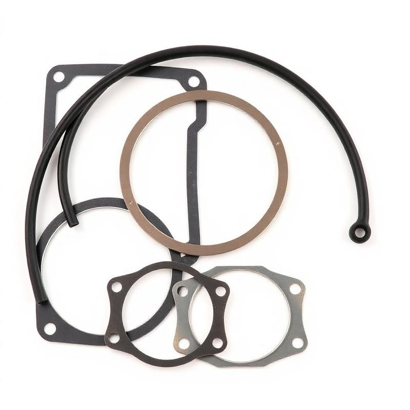 Gaskets & Seals